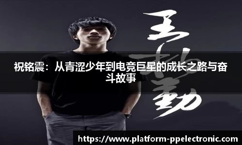 pp电子官网